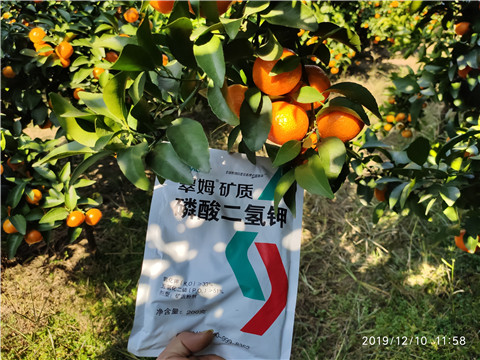 水溶肥，磷酸二氫鉀