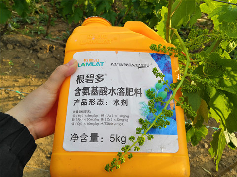 生根劑，微生物菌劑