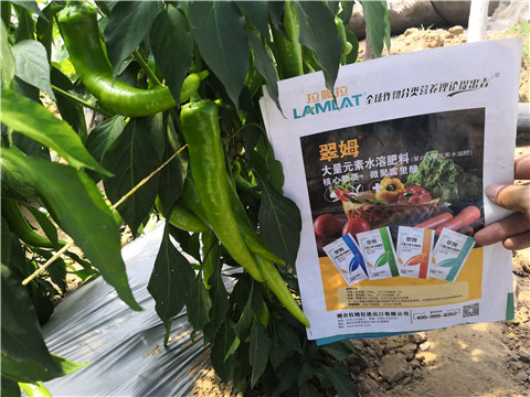 水溶肥，拉姆拉