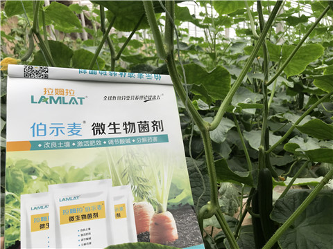 微生物菌劑，生根劑，拉姆拉
