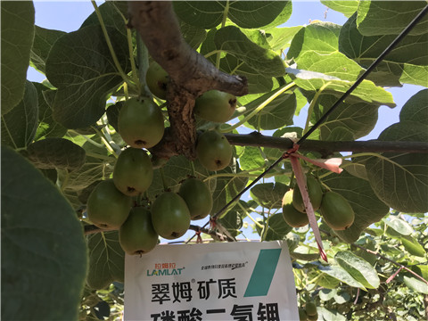 磷酸二氫鉀，拉姆拉