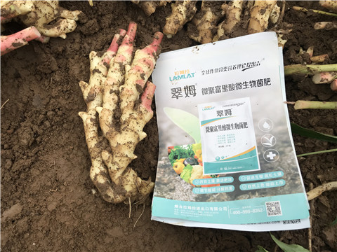 微生物菌劑，翠姆，拉姆拉
