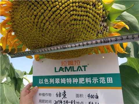 水溶肥，微生物菌劑，拉姆拉