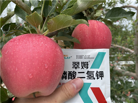 高鉀水溶肥，磷酸二氫鉀，拉姆拉，翠姆