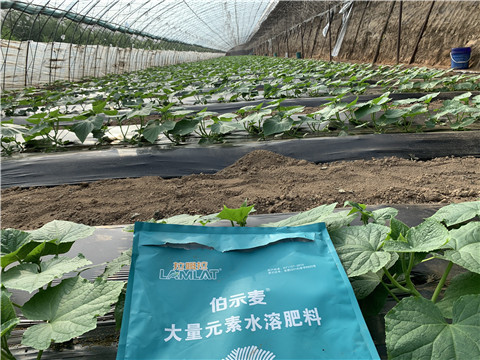 水溶肥，拉姆拉