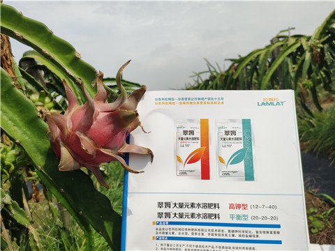 進(jìn)口水溶肥，拉姆拉，翠姆