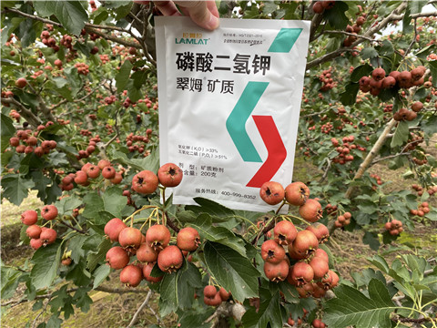 磷酸二氫鉀，拉姆拉，翠姆