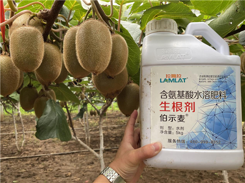 水溶肥，生根劑，微生物菌劑，伯示麥，拉姆拉