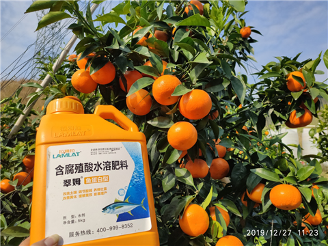水溶肥，拉姆拉，翠姆