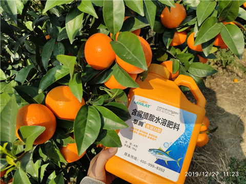 水溶肥，拉姆拉，翠姆