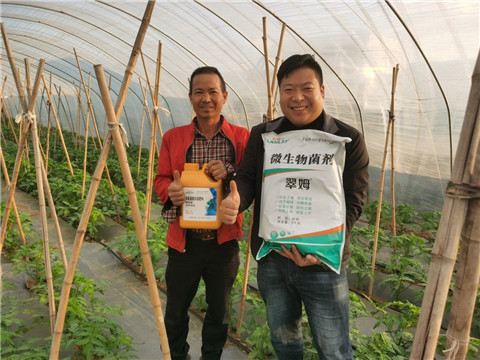 水溶肥，拉姆拉，翠姆