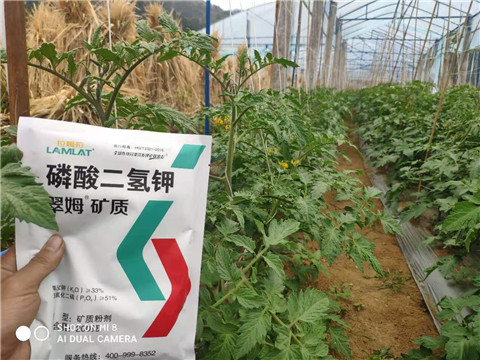 磷酸二氫鉀，拉姆拉，翠姆