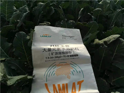 大量元素水溶肥，拉姆拉，翠姆