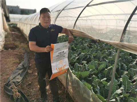 大量元素水溶肥，拉姆拉，翠姆