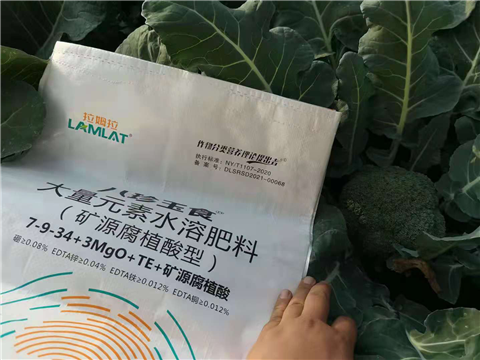 大量元素水溶肥，拉姆拉，翠姆
