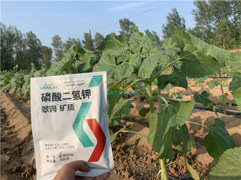 水溶肥，翠姆，拉姆拉