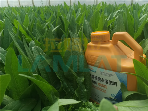 水溶肥，翠姆，拉姆拉