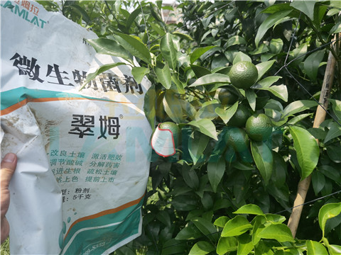 微生物菌劑，翠姆，拉姆拉