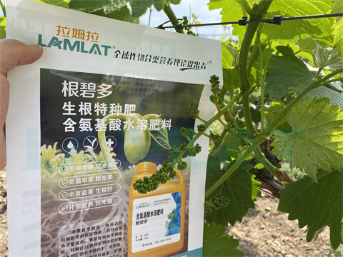 水溶肥，拉姆拉，翠姆