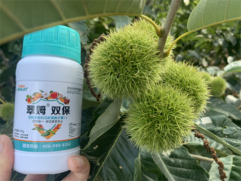 水溶肥品牌,板栗?；ū９?翠姆雙保