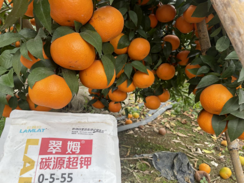 水溶肥廠(chǎng)家,柑橘轉(zhuǎn)色,翠姆水溶肥